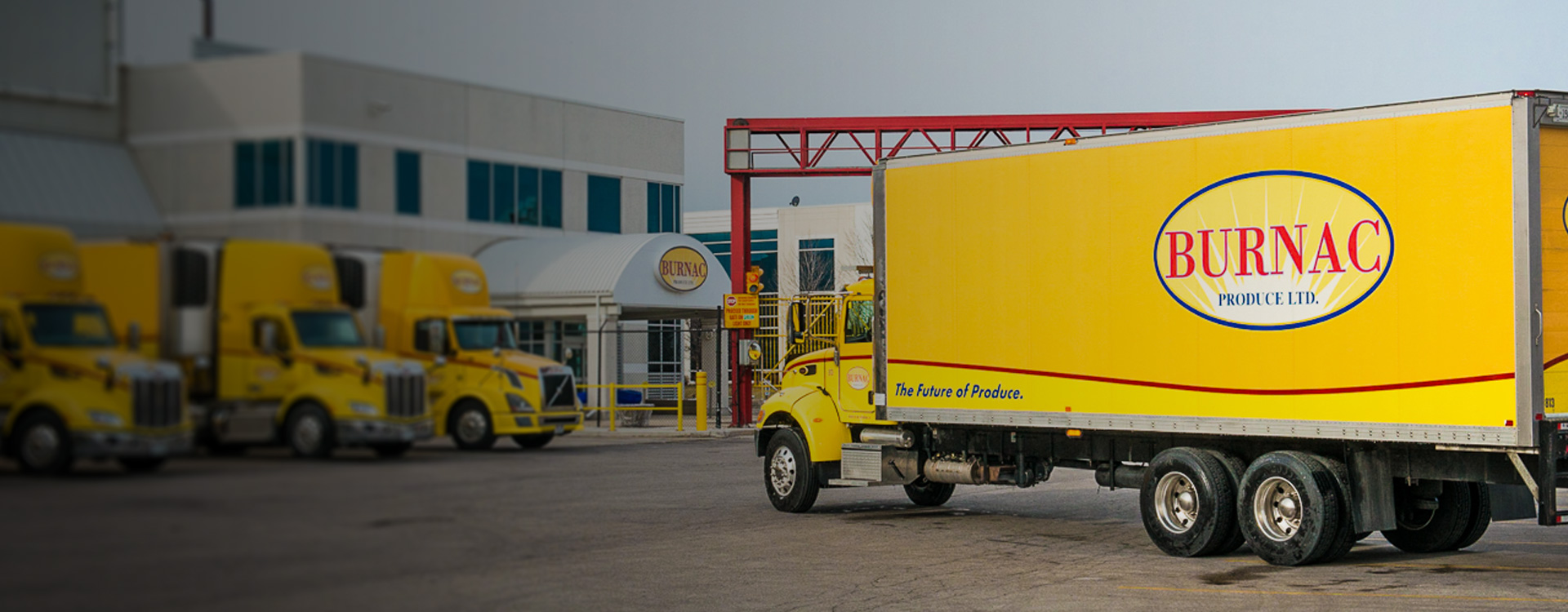 Burnac Produce Limited The Future of Produce